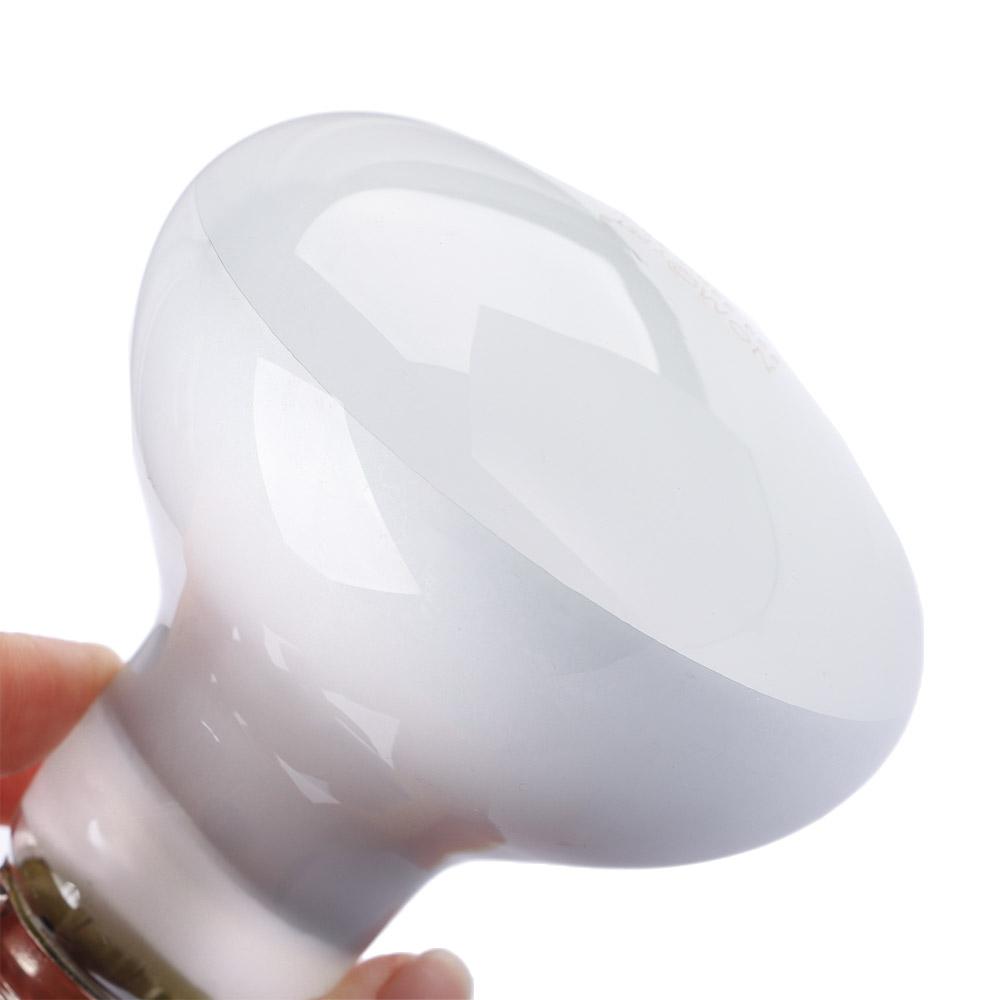 Controlador de Temperatura par - Basking Bulb Halogen reseña y precio