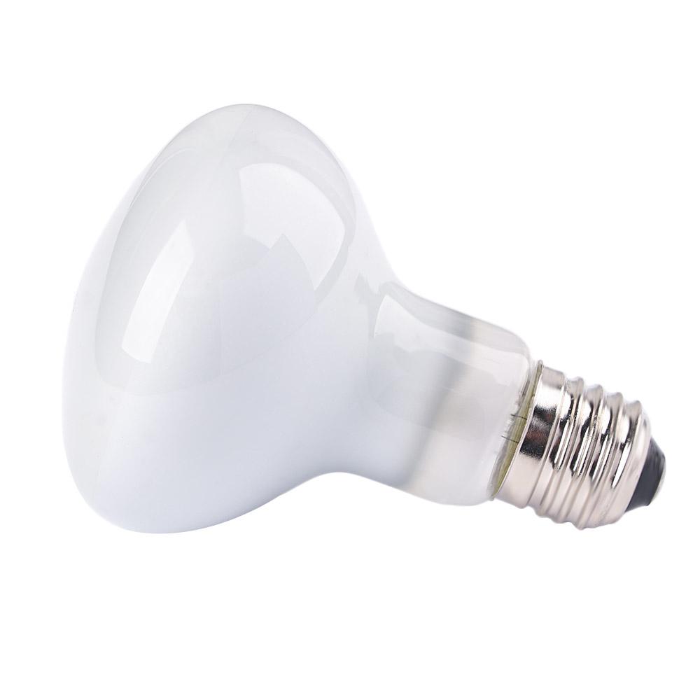 Controlador de Temperatura par - Basking Bulb Halogen reseña y precio